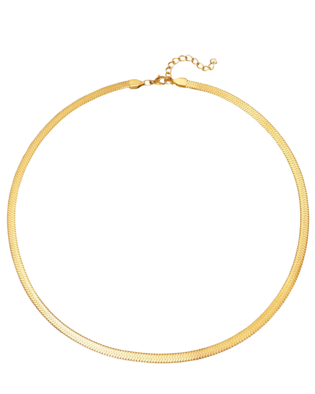SNAKE | CHAIN NECKLACE